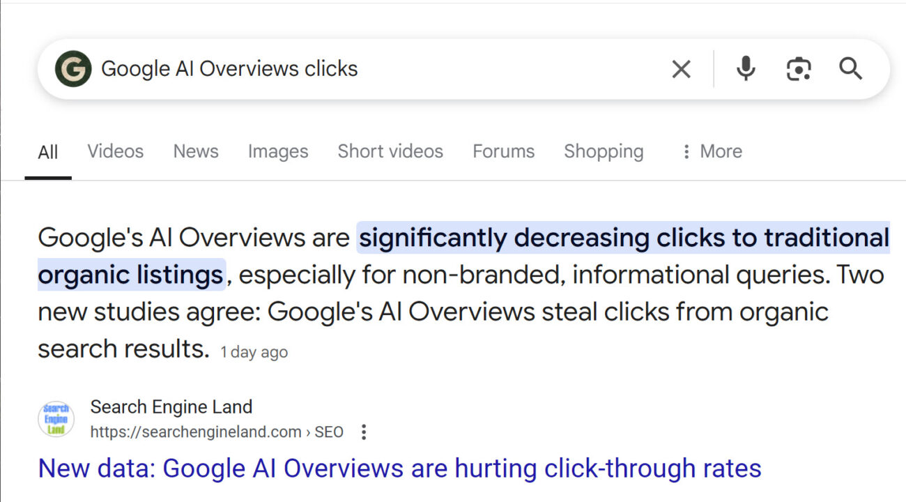 Google AI Overviews and the New Search Reality: What Marketing Leaders Need to Know (2025)